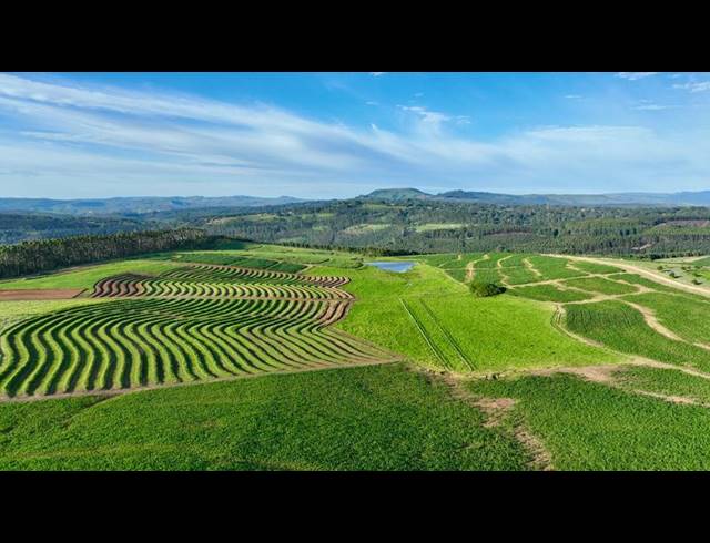 LAND FOR SALE IN MOUNT VERDE
